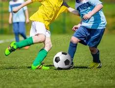 那不勒斯官,宣新任主帅,前羅馬教頭,万博,ManBetX,万博注册网址,万博app,万博官网,万博网站,万博下载