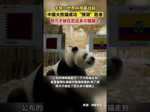 闵鹿蕾指出,国豪出战时,间充足,万博,ManBetX,万博注册网址,万博app,万博官网,万博网站,万博下载